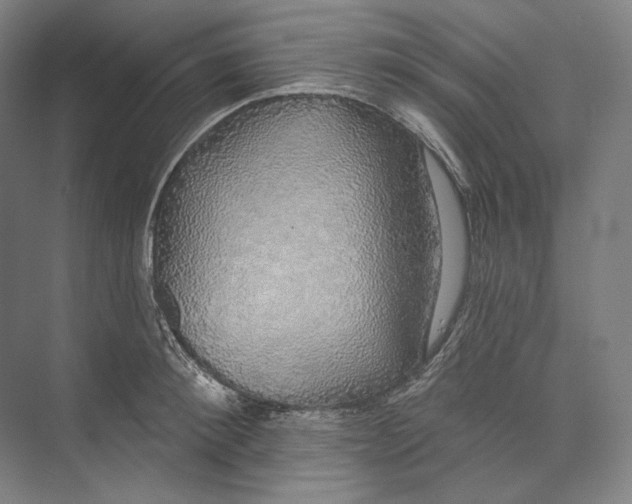 X0000071910900200608041406