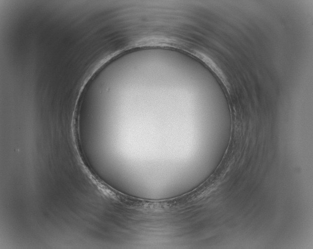 X0000071910901200608041406