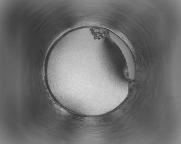 X0000071910904200608041406