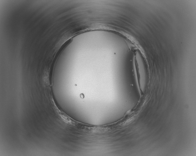 X0000071910905200608041405