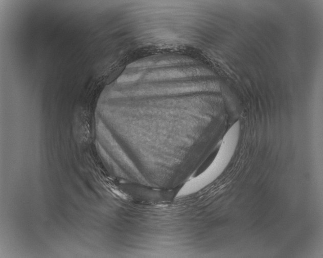 X0000071910916200608041405