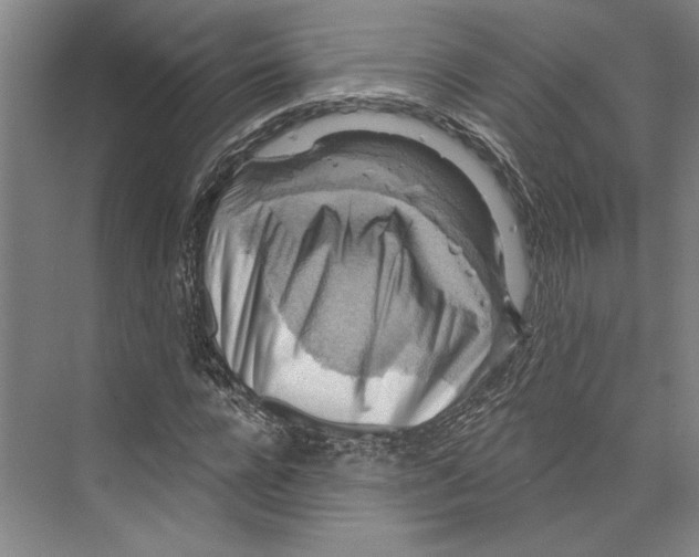 X0000071910920200608041405