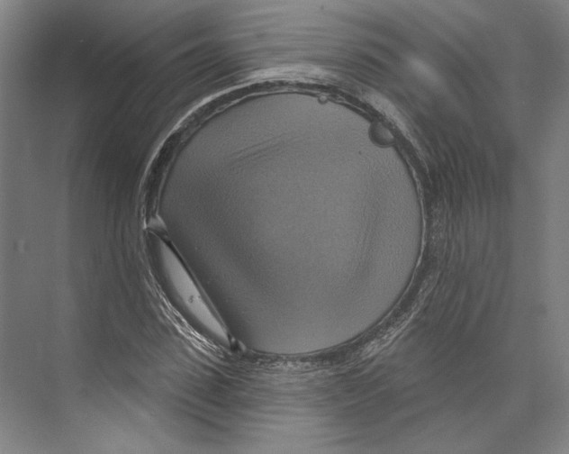 X0000071910923200608041405