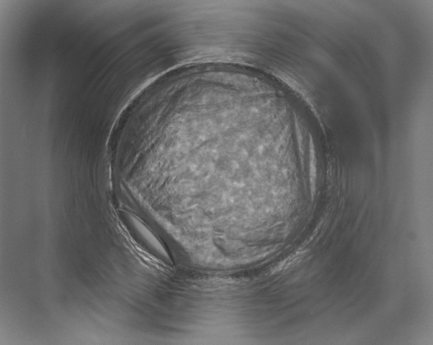 X0000071910925200608041405