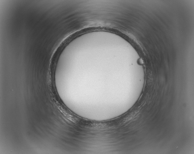 X0000071910927200608041405