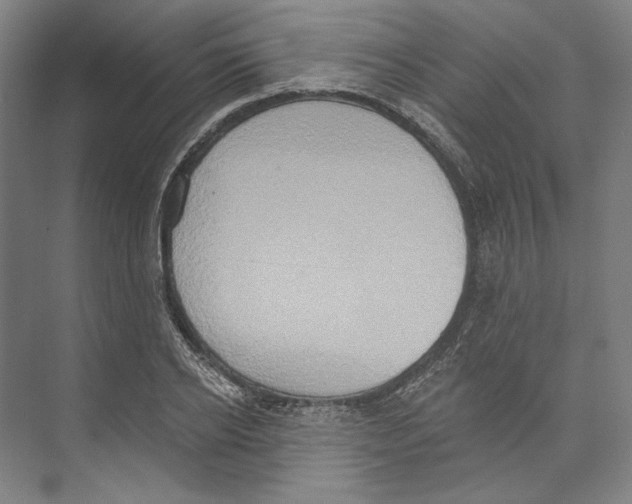 X0000071910934200608041405