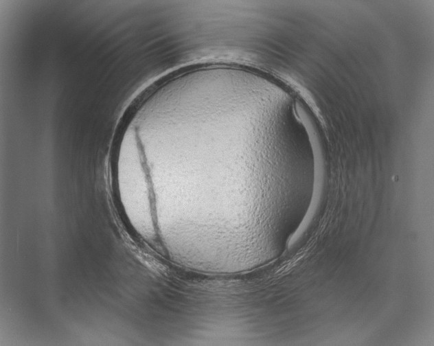 X0000071910936200608041405