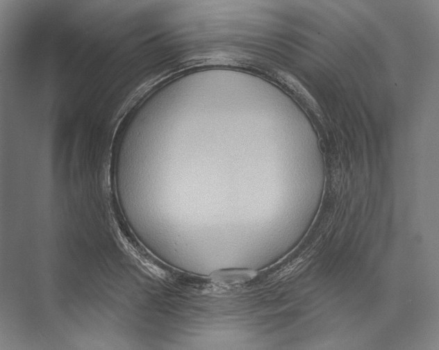 X0000071910938200608041405