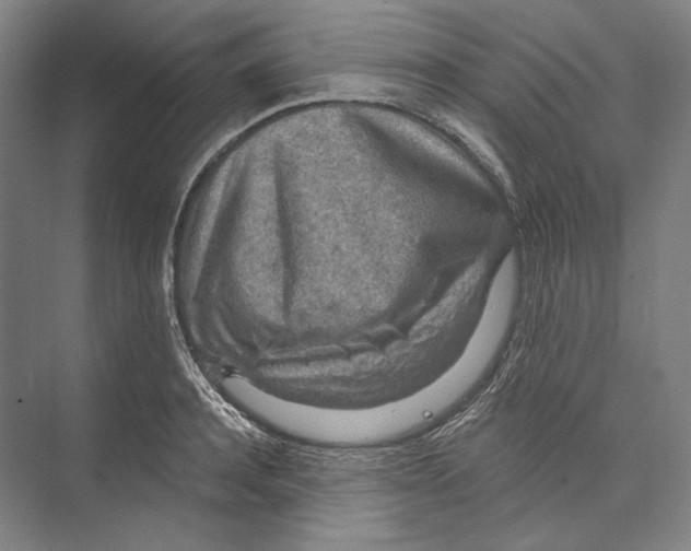 X0000071910944200608041405