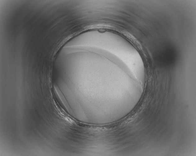 X0000071910945200608041405