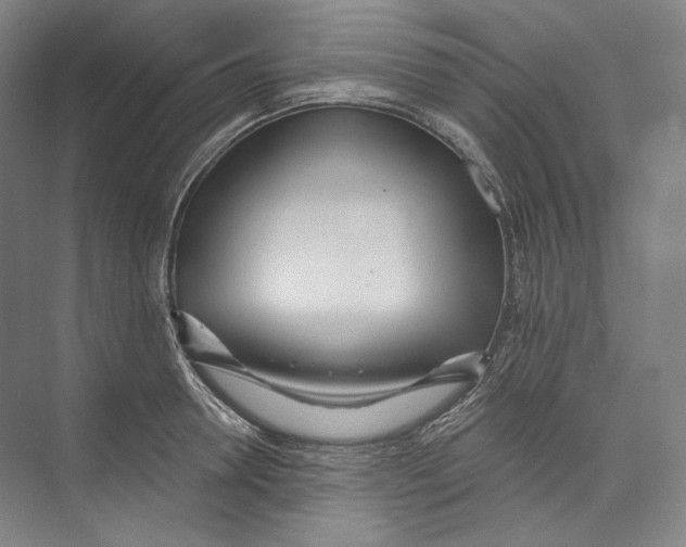 X0000071910946200608041405