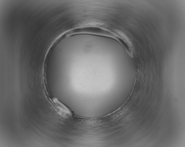 X0000071910948200608041405