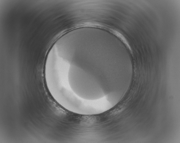 X0000071910954200608041405