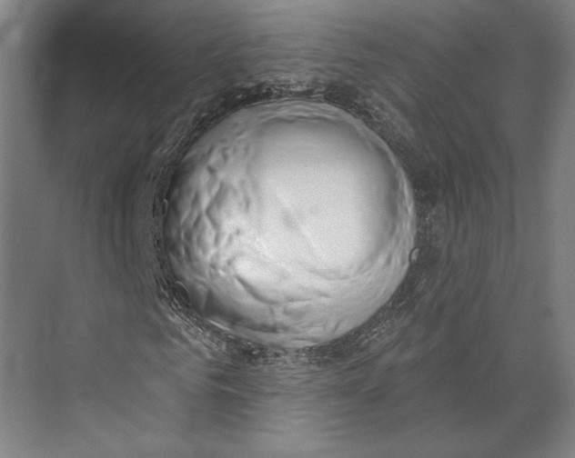 X0000071910961200608041405