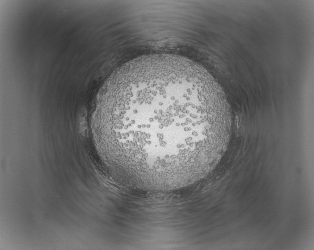 X0000071910963200608041405