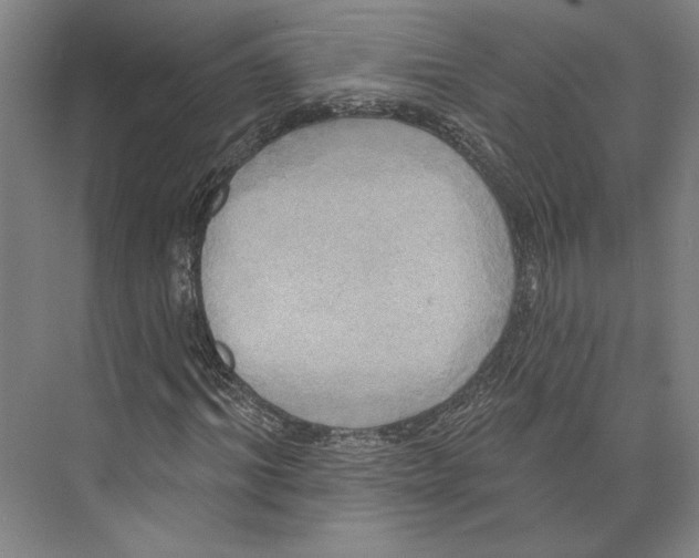 X0000071910964200608041404