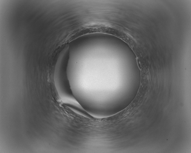 X0000071910965200608041404