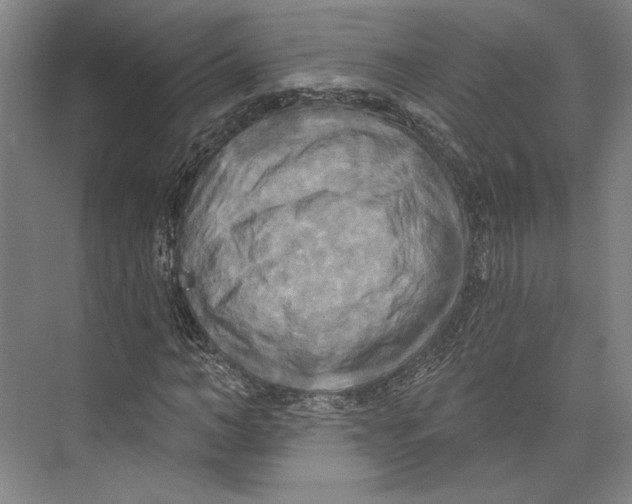 X0000071910966200608041404