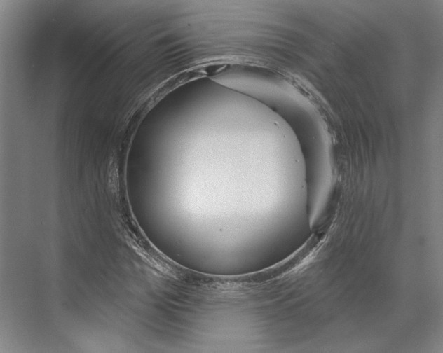 X0000071910969200608041404