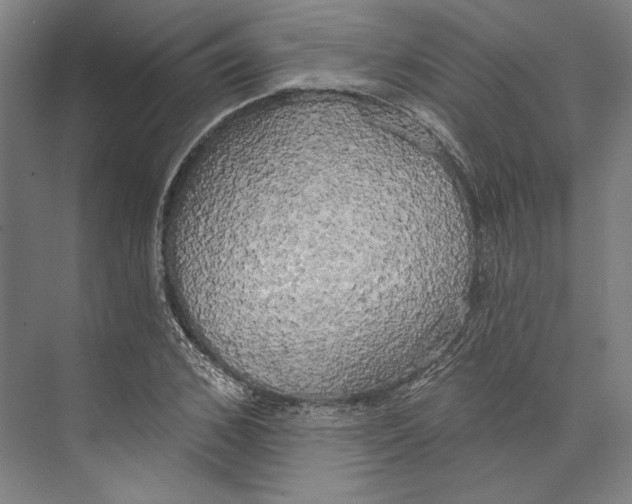 X0000071910976200608041404