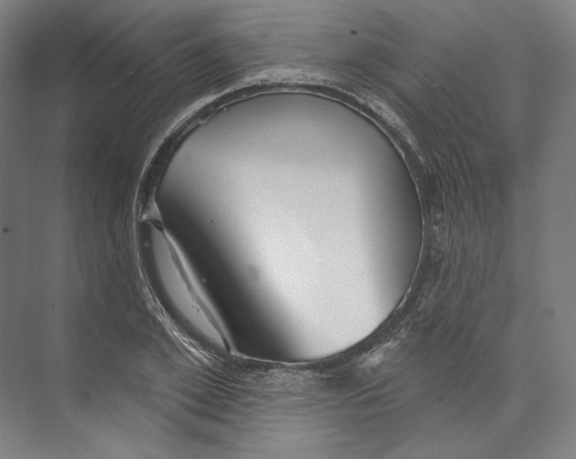 X0000071910981200608041404