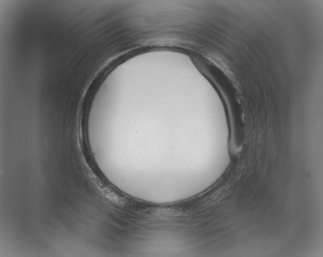 X0000071910984200608041404