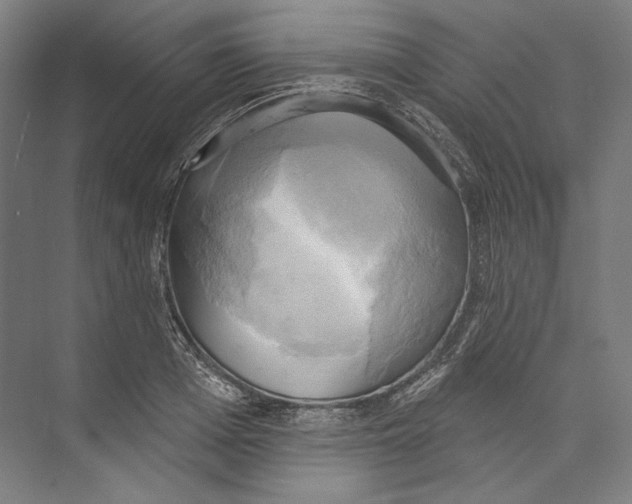 X0000071910985200608041404