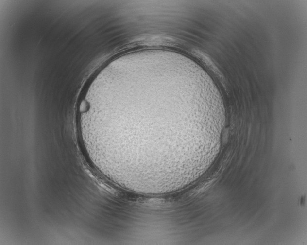 X0000071910986200608041404