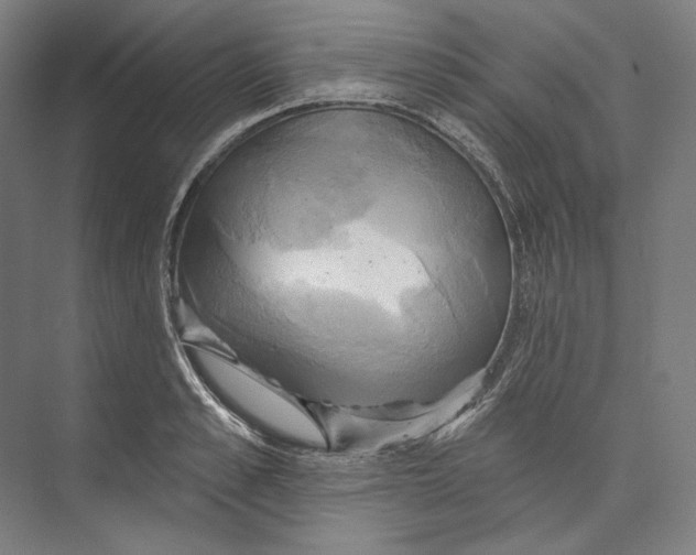 X0000071910989200608041404