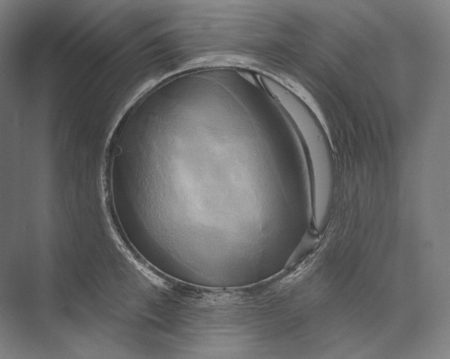 X0000071910997200608041404
