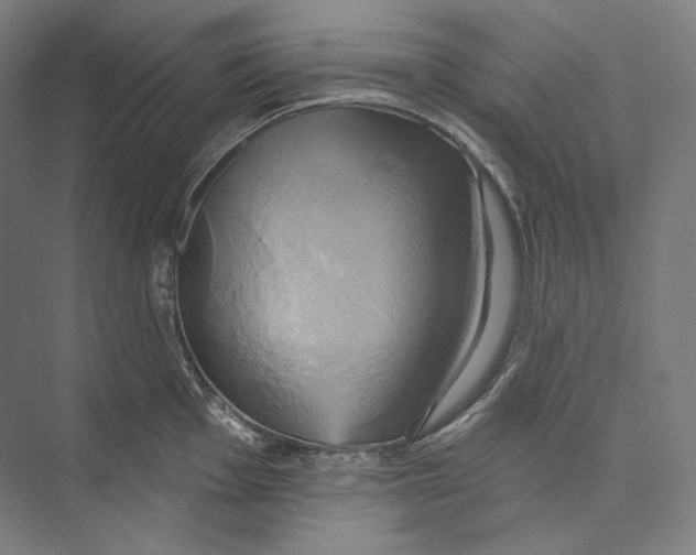 X0000071911001200608041404
