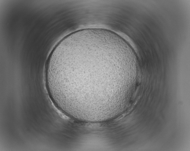 X0000071911006200608041404