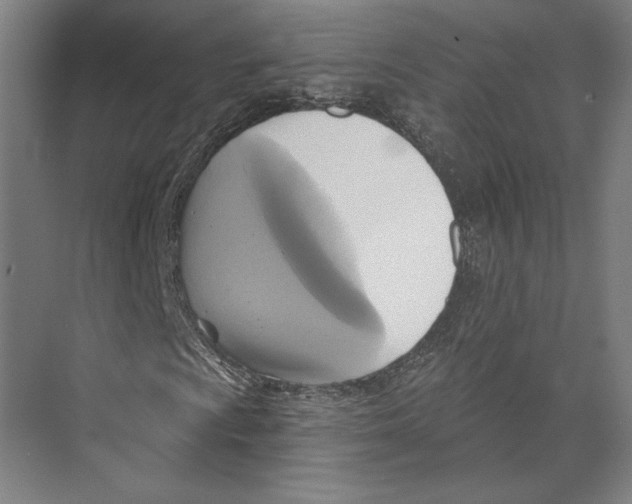 X0000071911009200608041403