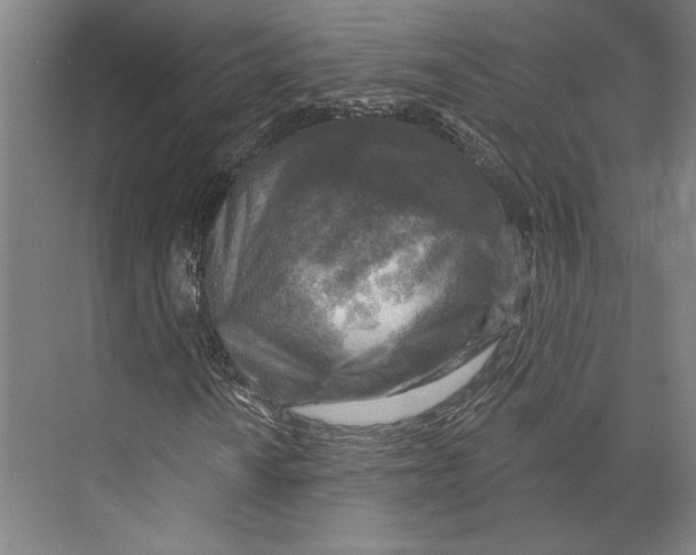 X0000071911010200608041403