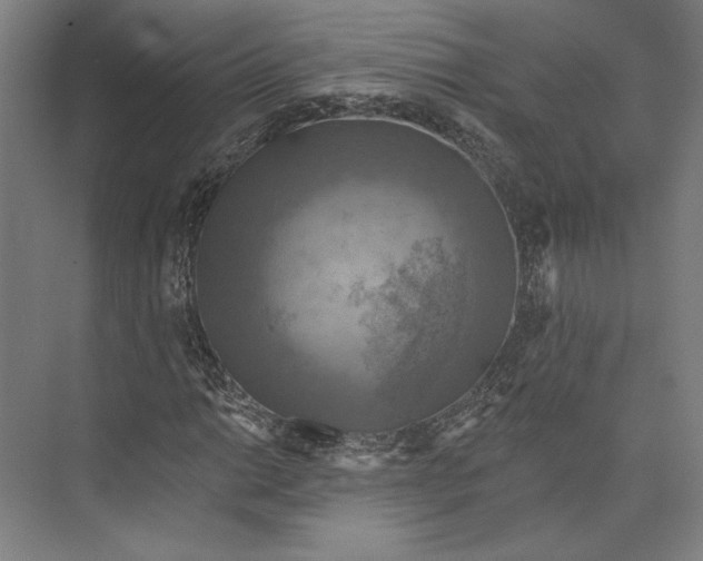 X0000071911014200608041403