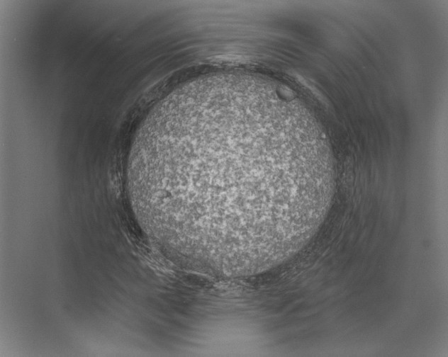 X0000071911015200608041403