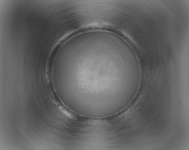 X0000071911018200608041403