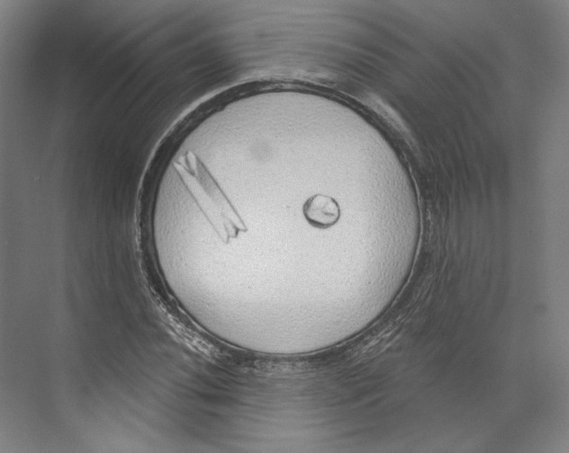 X0000071911020200608041403
