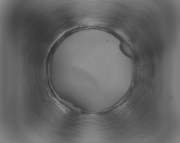 X0000071911023200608041403