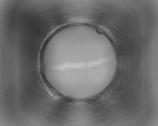 X0000071911031200608041403