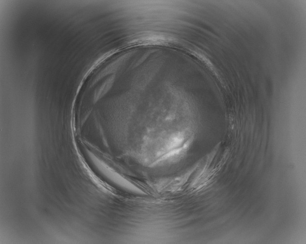 X0000071911034200608041403