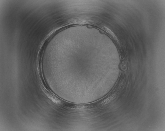 X0000071911035200608041403