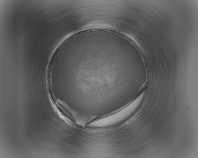 X0000071911038200608041403