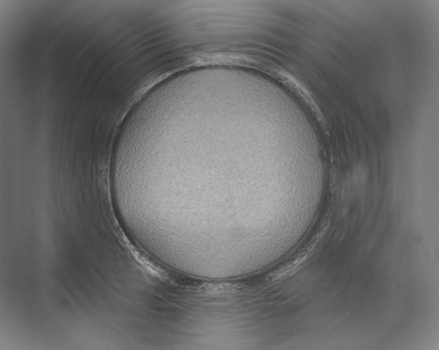 X0000071911041200608041403