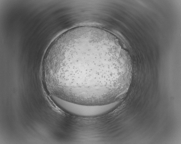 X0000071911044200608041404