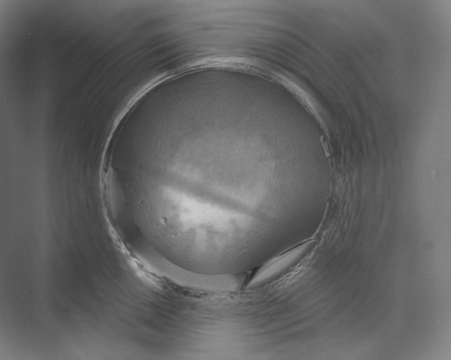 X0000071911050200608041404