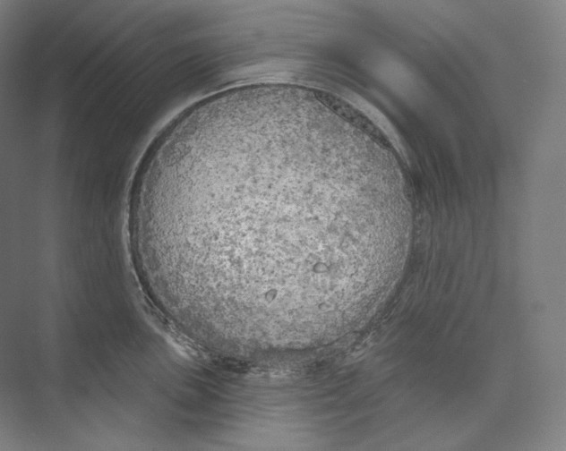 X0000071911051200608041404
