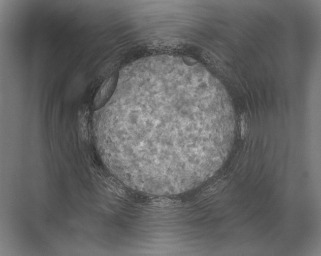 X0000071911059200608041403