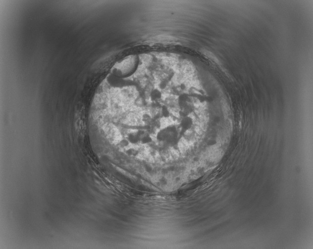 X0000071911063200608041403