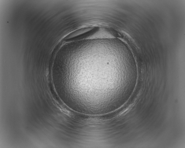 X0000071911065200608041403